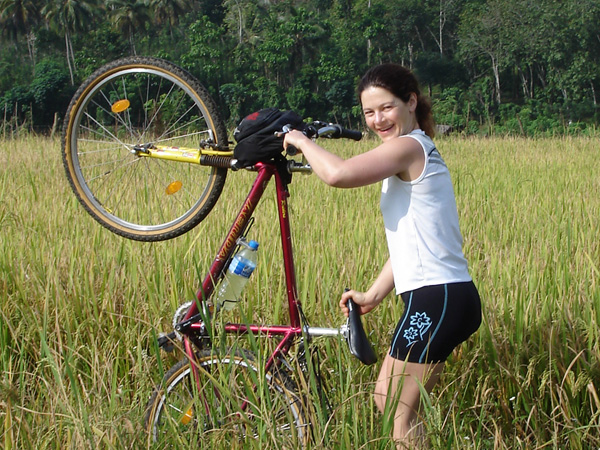 mit dem Fahrrad durch Sri Lanka vorbei an Reisanbaugebieten und Teeplantagen, E-Bike Reise in Sri Lanka