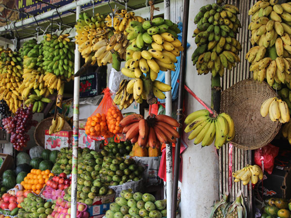 Wanderungen-sri-lanka.jpg