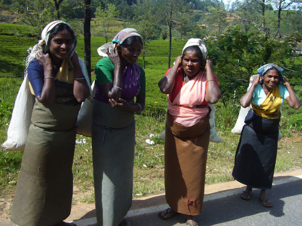 Bikemieten-Sri Lanka