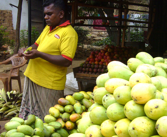 Wander-tour-sri-lanka.jpg